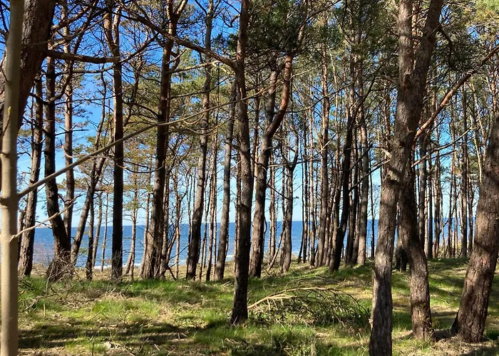 Lazur Wellness@spa Międzywodzie